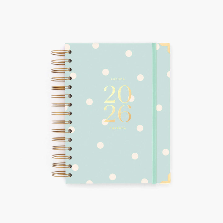 Agenda Diaria 2026 - Mint - Mediana