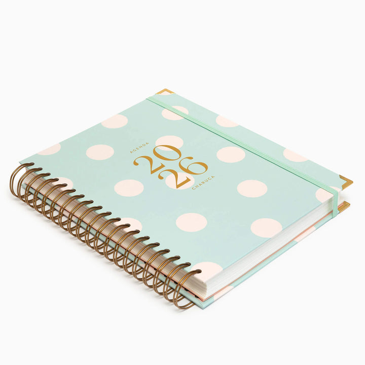 Agenda Diaria 2026 - Mint - Grande