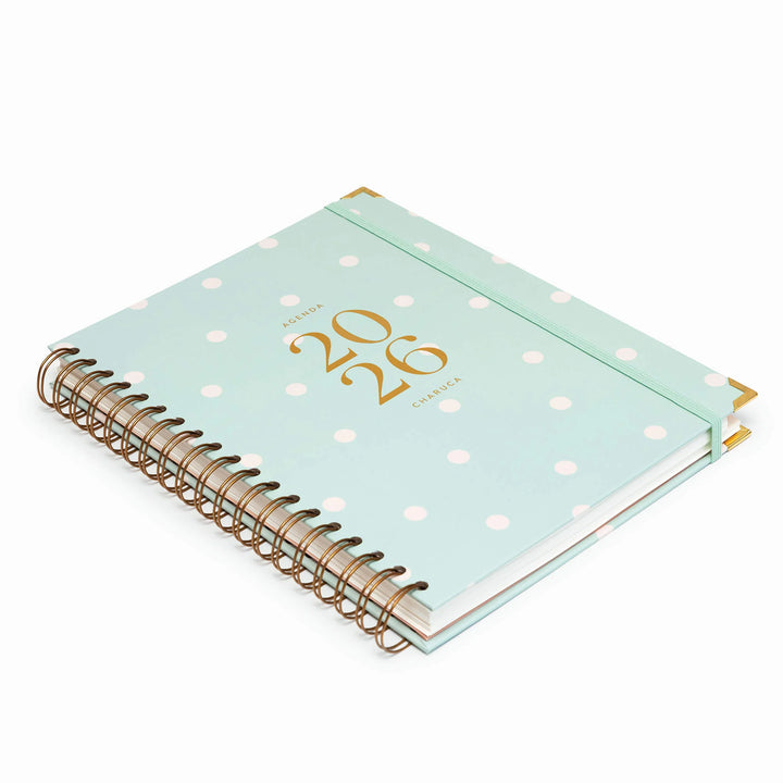Agenda Semanal 2026 - Mint  - Grande