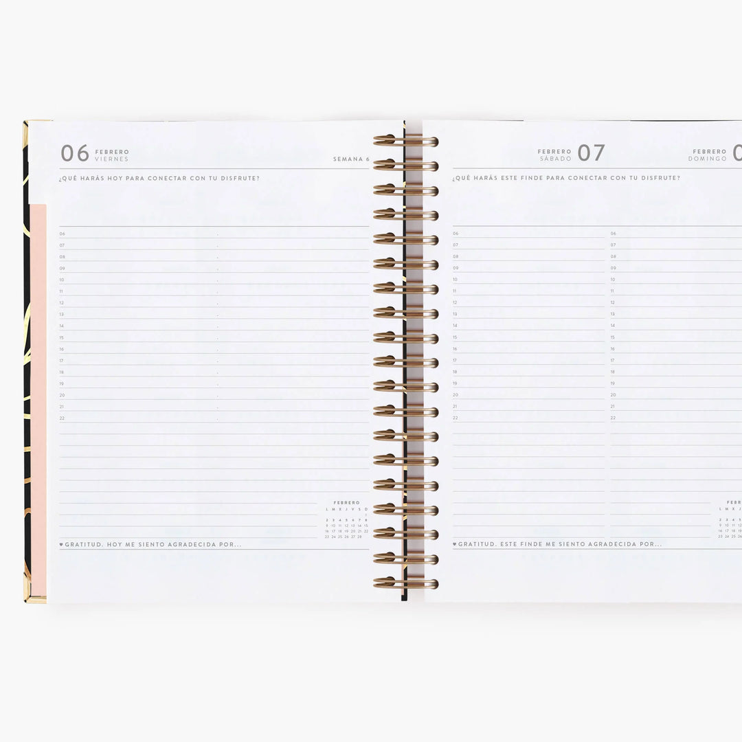 Agenda Diaria 2026 - Black - Grande