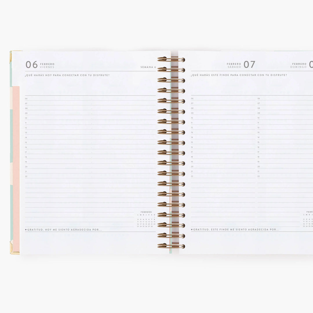 Agenda Diaria 2026 - Mint - Grande