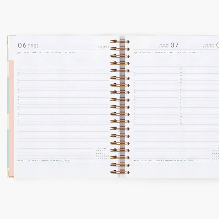 Agenda Diaria 2026 - Mint - Grande