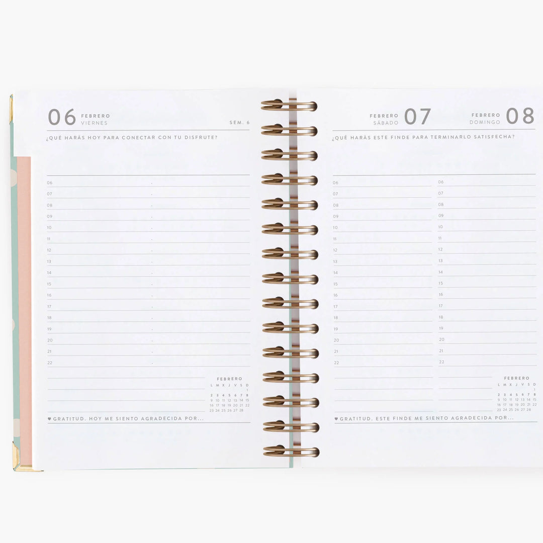 Agenda Diaria 2026 - Mint - Mediana