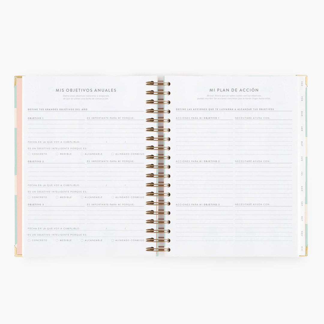 Agenda Diaria 2026 - Mint - Grande