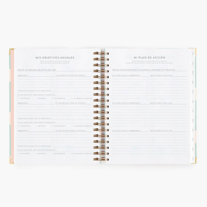 Agenda Diaria 2026 - Mint - Grande