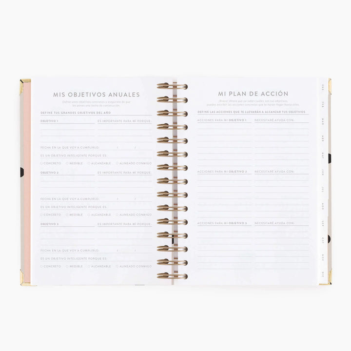 Agenda Diaria 2026 - Mint - Mediana
