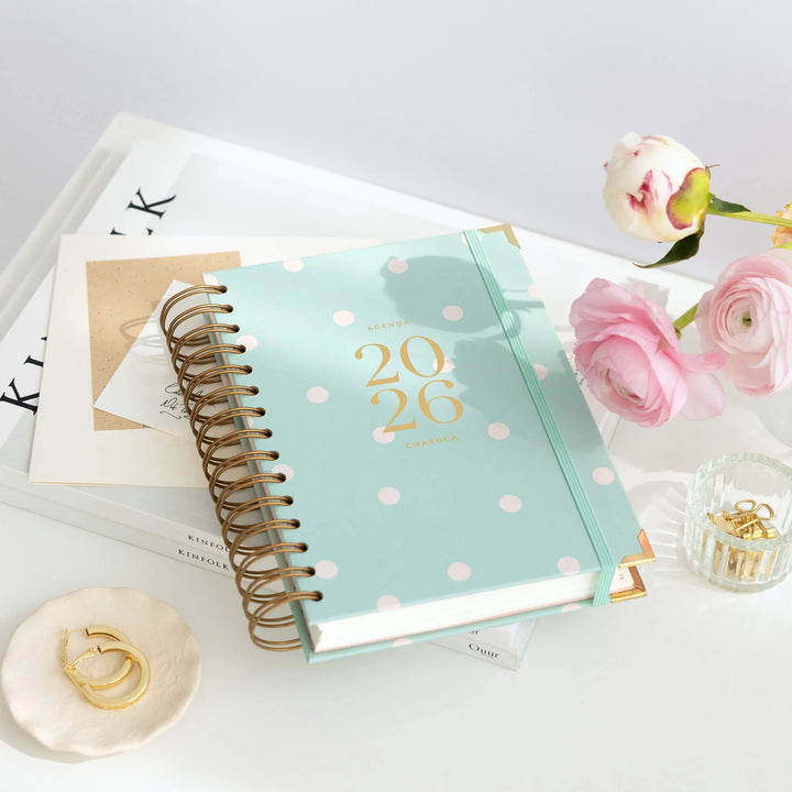 Agenda Diaria 2026 - Mint - Mediana
