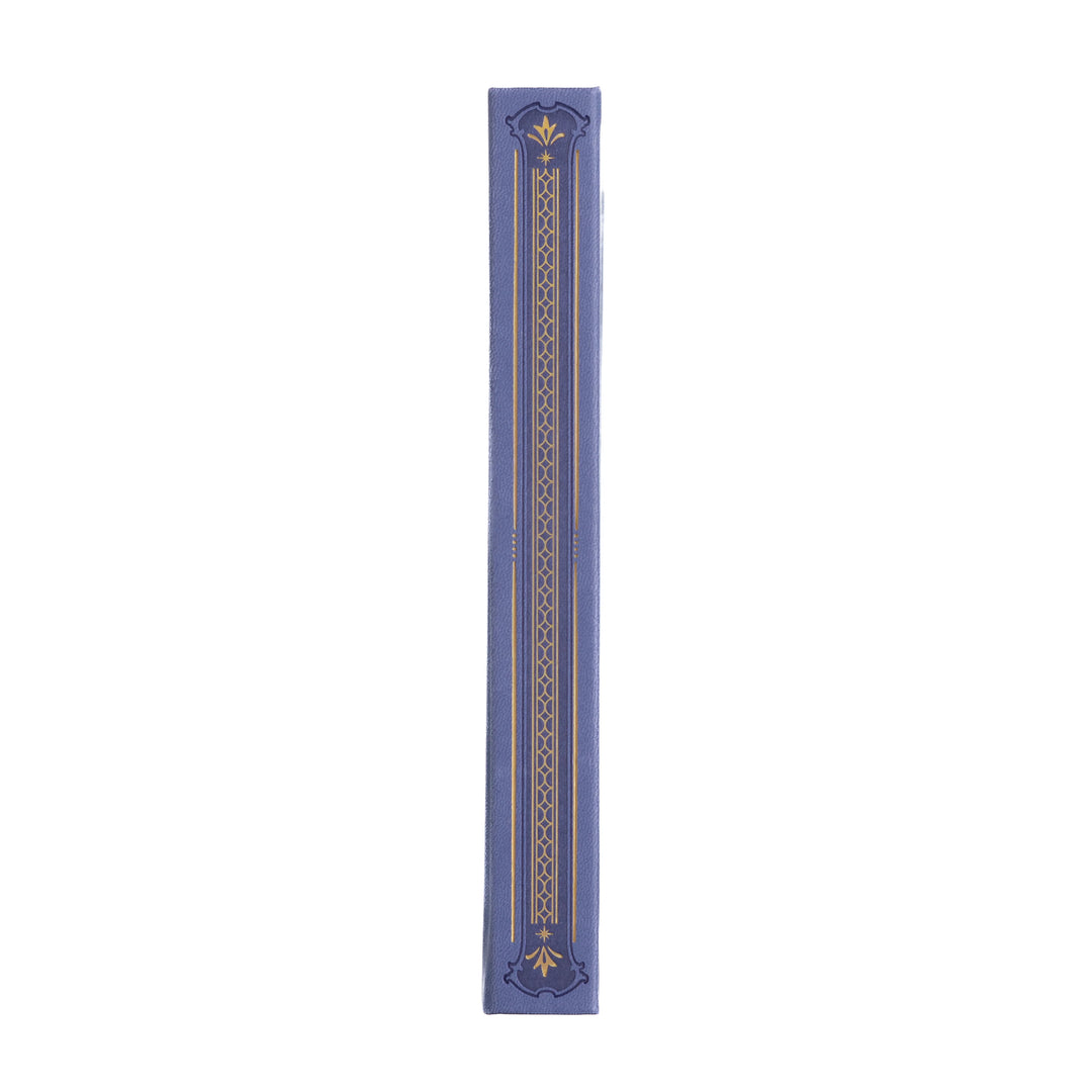 Pocket Size Journal - Dragon Spire - Dot Grid
