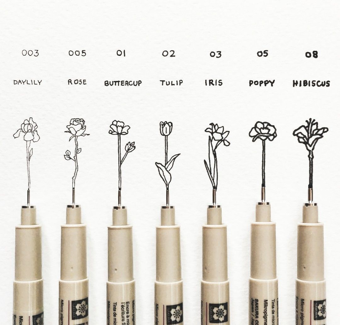 Set Sakura Pigma Micron