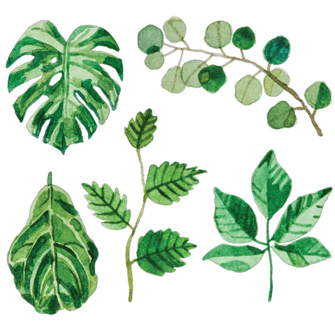 Mossery Stickers - Foliage